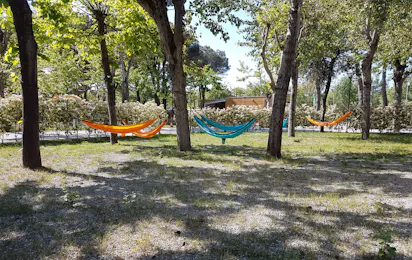 Camping Taimi