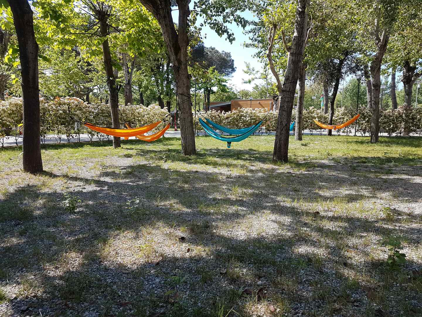 Camping Taimi