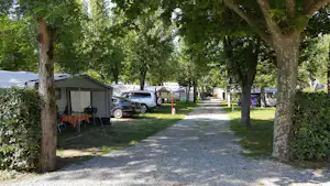 Camping Taimi - Wohnmobilstellplatz und Wohnwagenstellplatz zwischen Bäumen auf dem Campingplatz