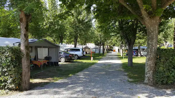 Camping Taimi