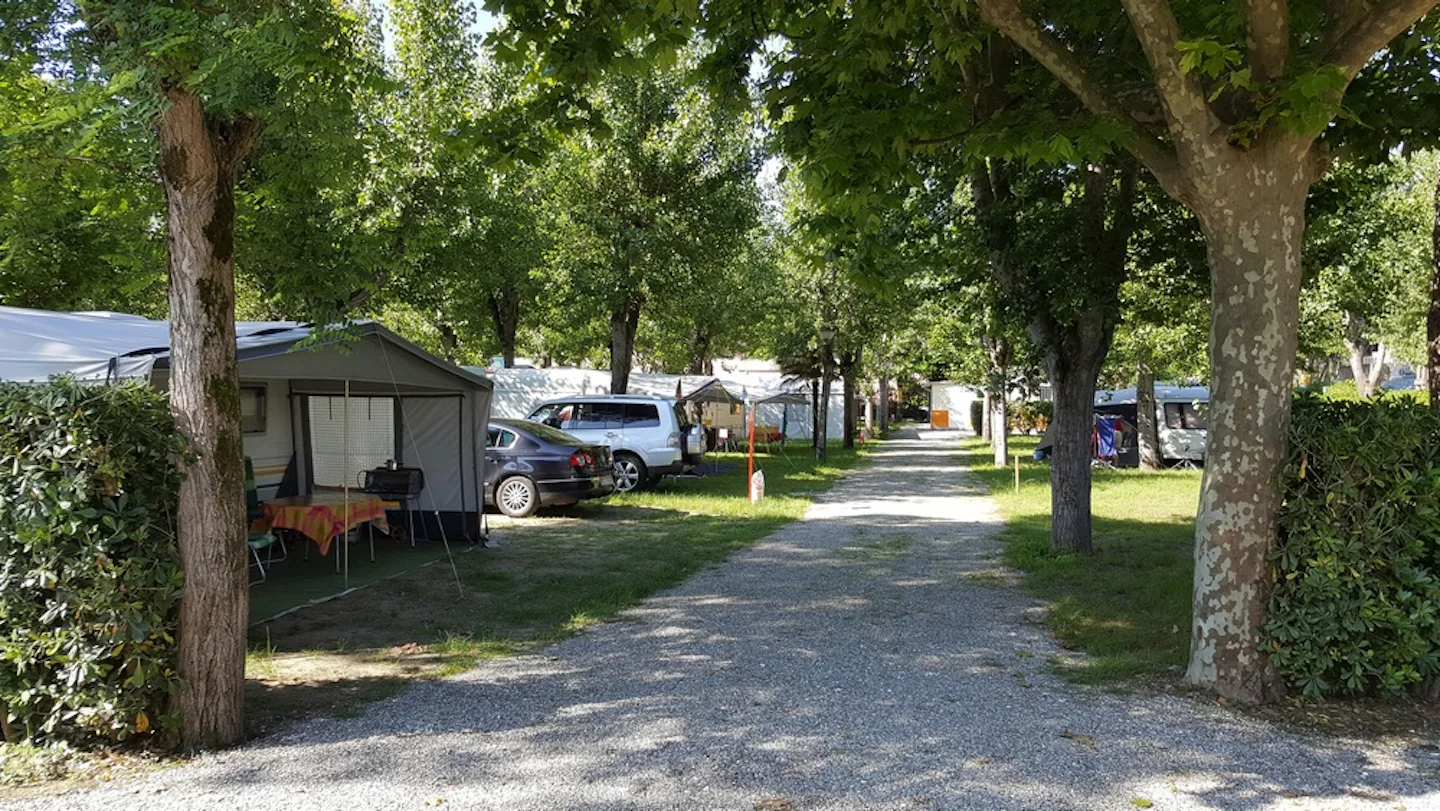 Camping Taimi