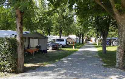 Camping Taimi