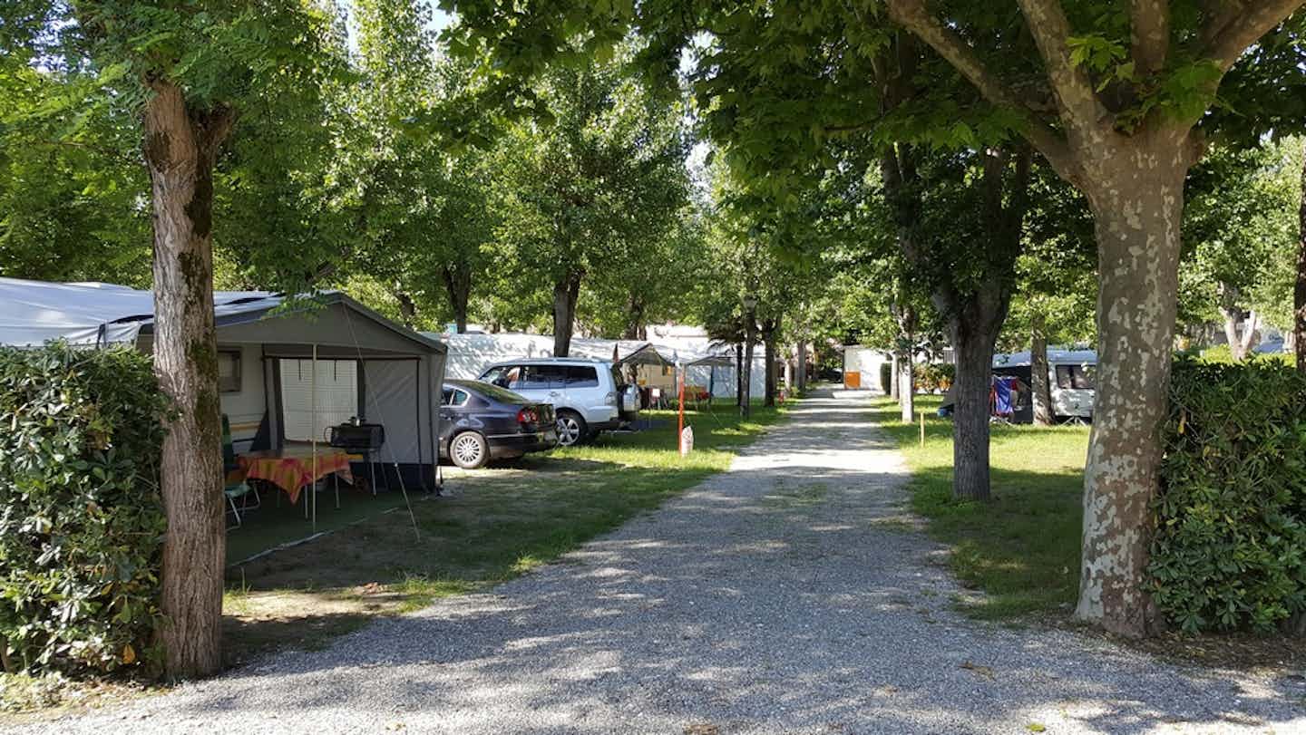Camping Taimi