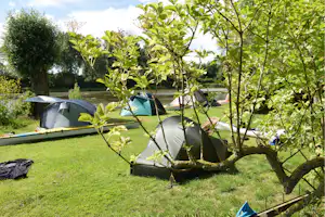 Camping Taniaburg - Zeltwiese auf dem Campingplatz