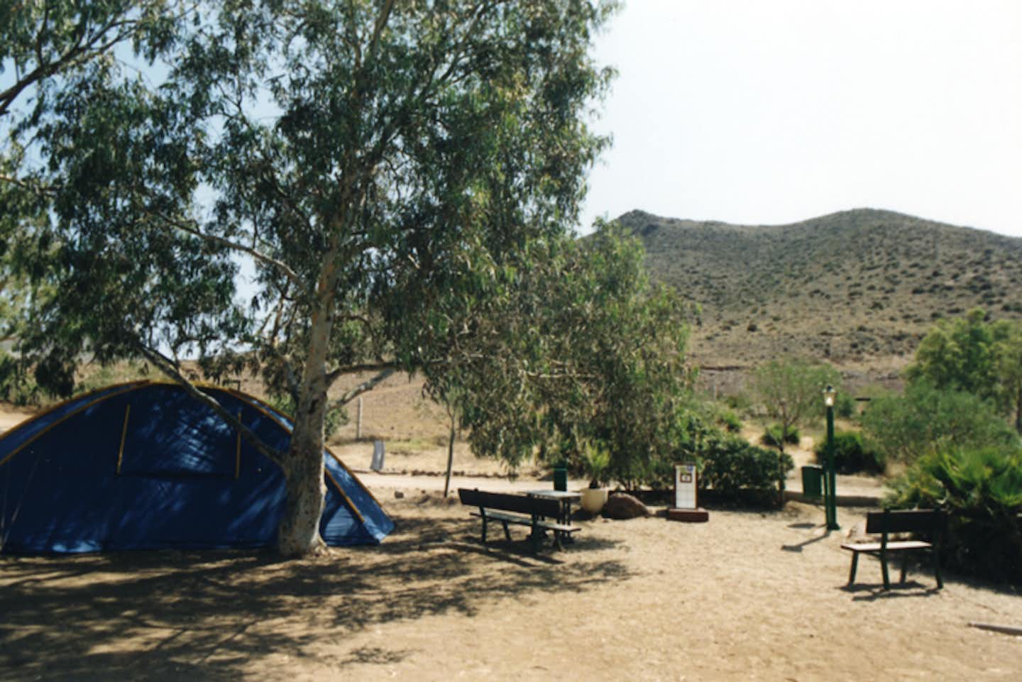 Camping Tau  -  Zelt auf dem Zeltstellplatz vom Campingplatz unter einem Baum mit Blick auf die Berge