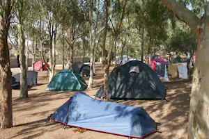Camping Tau - Zeltplatz vom Campingplatz zwischen Bäumen