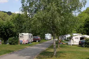 Camping Tauber-Romantik - Wohnwagen- und Zeltstellplatz vom Campingplatz im Grünen zwischen Bäumen