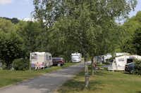 Camping Tauber-Romantik  -  Wohnwagen- und Zeltstellplatz vom Campingplatz im Grünen zwischen Bäumen