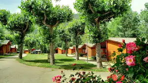 Weg auf einem Campingplatz mit Bäumen und mehreren kleinen Holzhütten, umgeben von Rasen und Blumenbeeten.