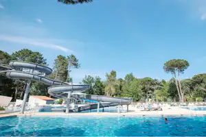 Camping Taxo les Pins - Pool vom Campingplatz mit Liegestühlen in der Sonne