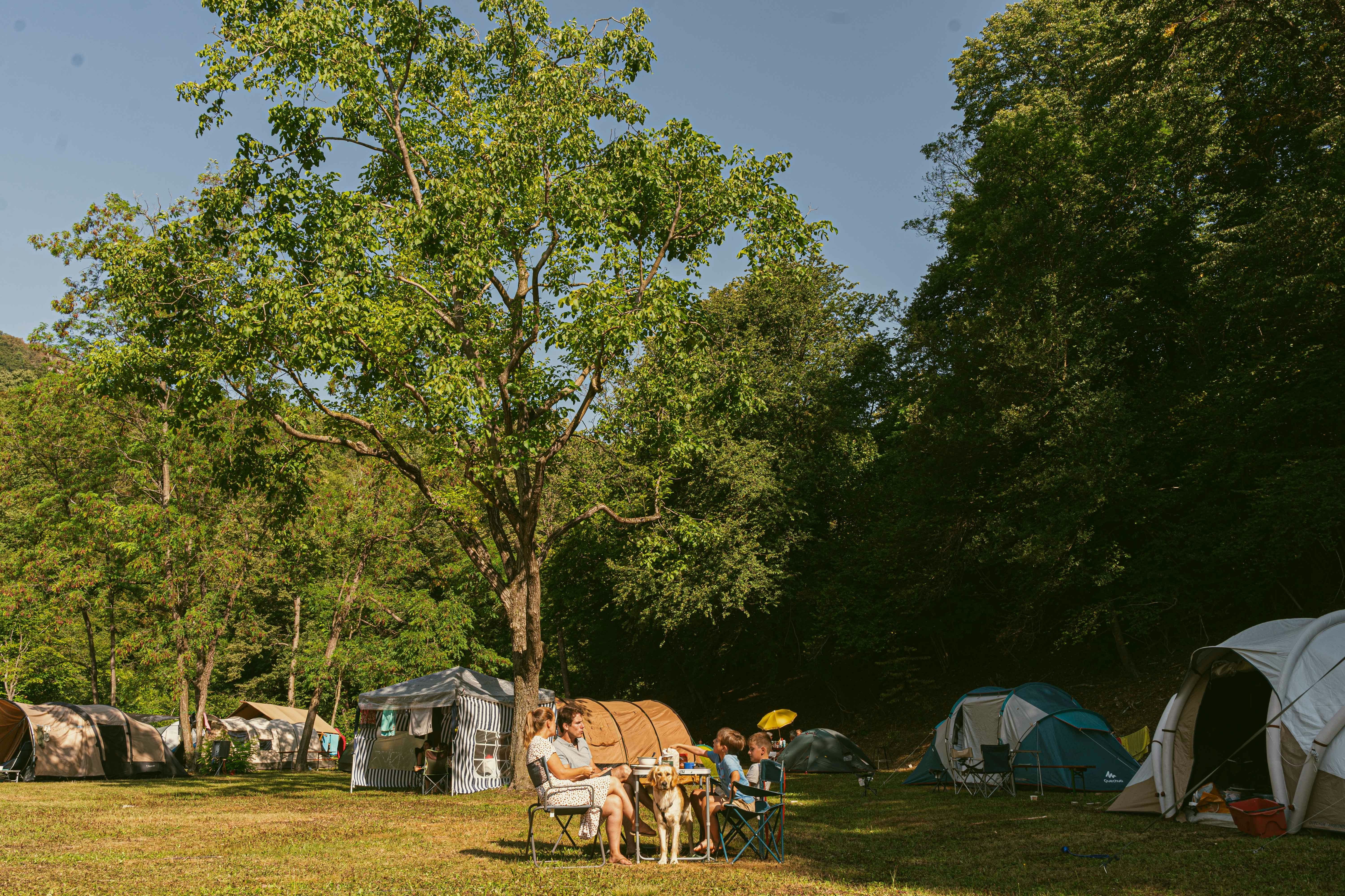 Ca.Stella Camping del Monte San Giorgio - Zeltplatzwiese auf dem Campingplatz