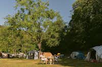 Ca.Stella Camping del Monte San Giorgio - Zeltplatzwiese auf dem Campingplatz
