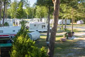 Wohnmobile und Campingbusse auf einem Campingplatz im Grünen, zwischen Bäumen, mit Stellplätzen und Sitzgelegenheiten.