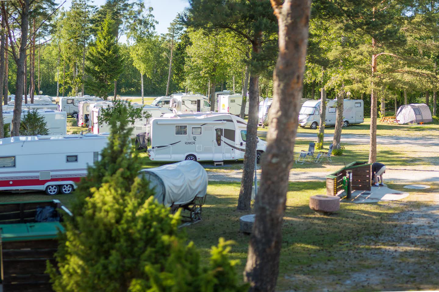 Camping Tehumardi -  Campingbereich für Zelte und Wohnwagen im Schatten der Bäume