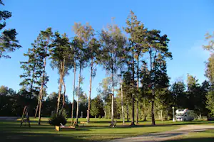 Baumreihe auf dem Campingplatz, Rasen und Wege, im Hintergrund ein Wohnmobil und Sitzgelegenheiten.
