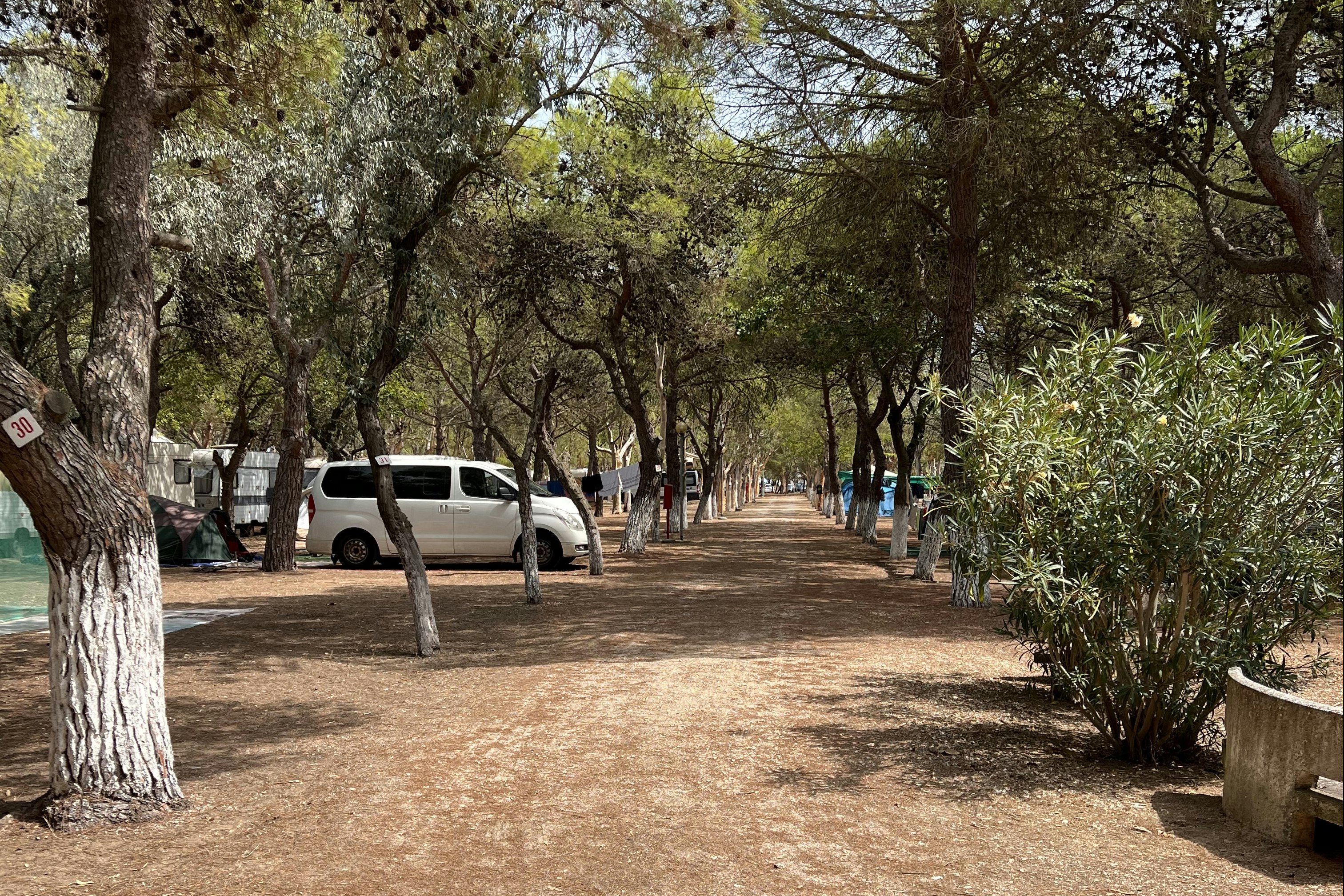 Camping Tellina Agriturismo SNC  - Aquafitness im Freibad des Campingplatzes