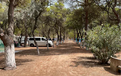 Camping Lido Tellina