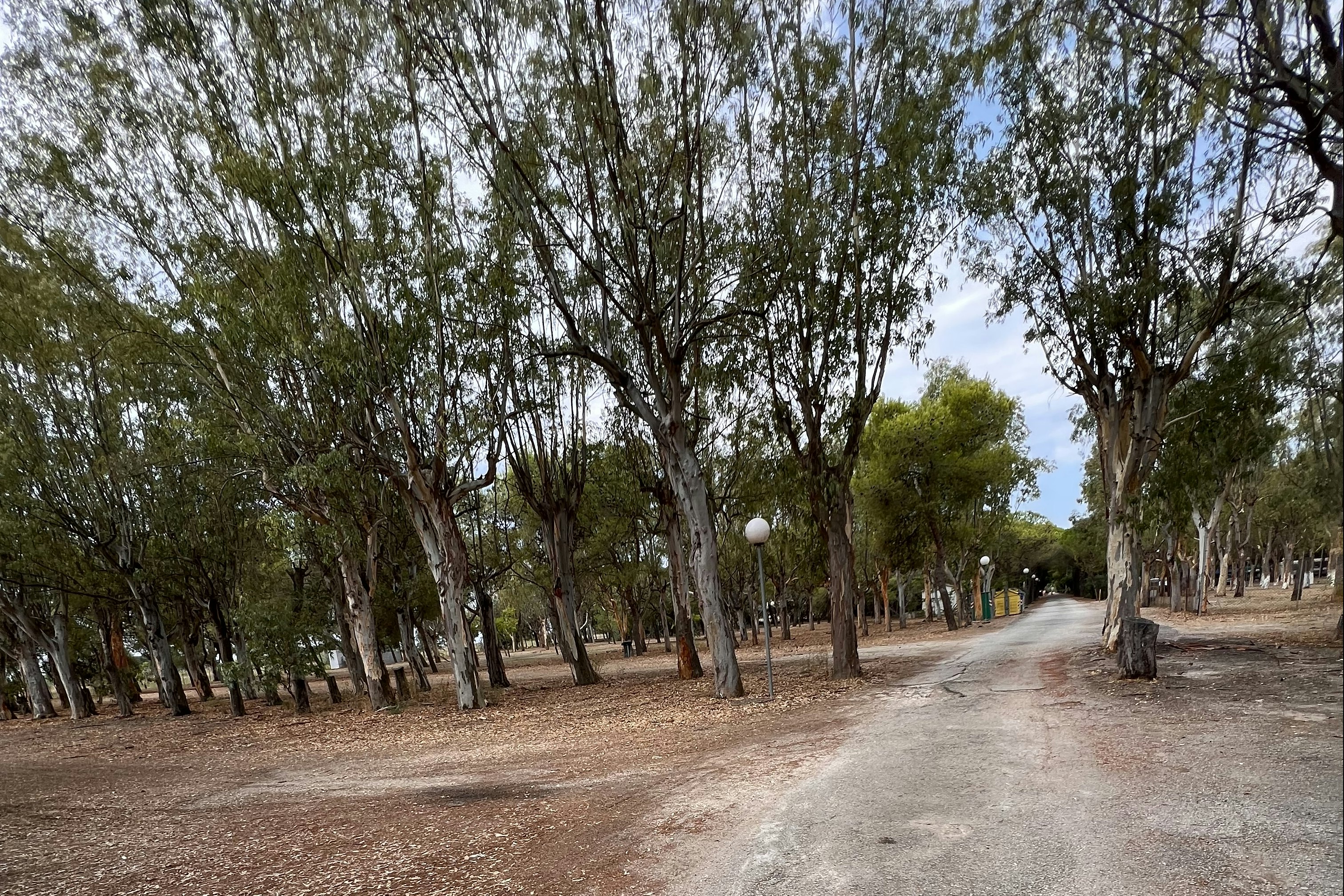 Camping Tellina Agriturismo SNC - Standplätze auf dem Campingplatz