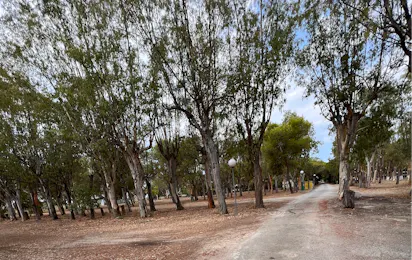 Camping Lido Tellina