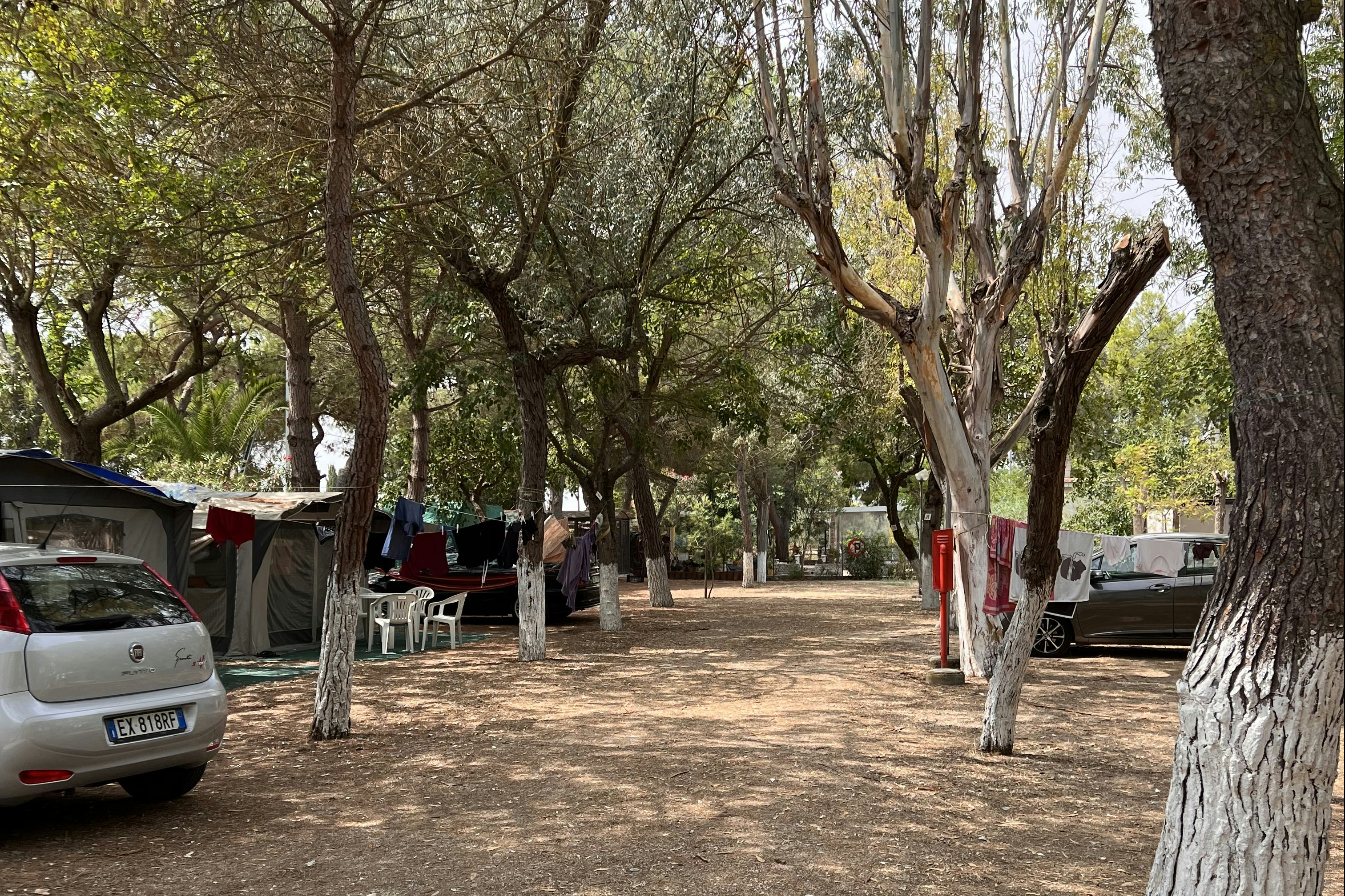 Camping Tellina Agriturismo SNC - Standplätze zwischen den Bäumen auf dem Campingplatz