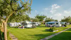 Camping Ter Leede