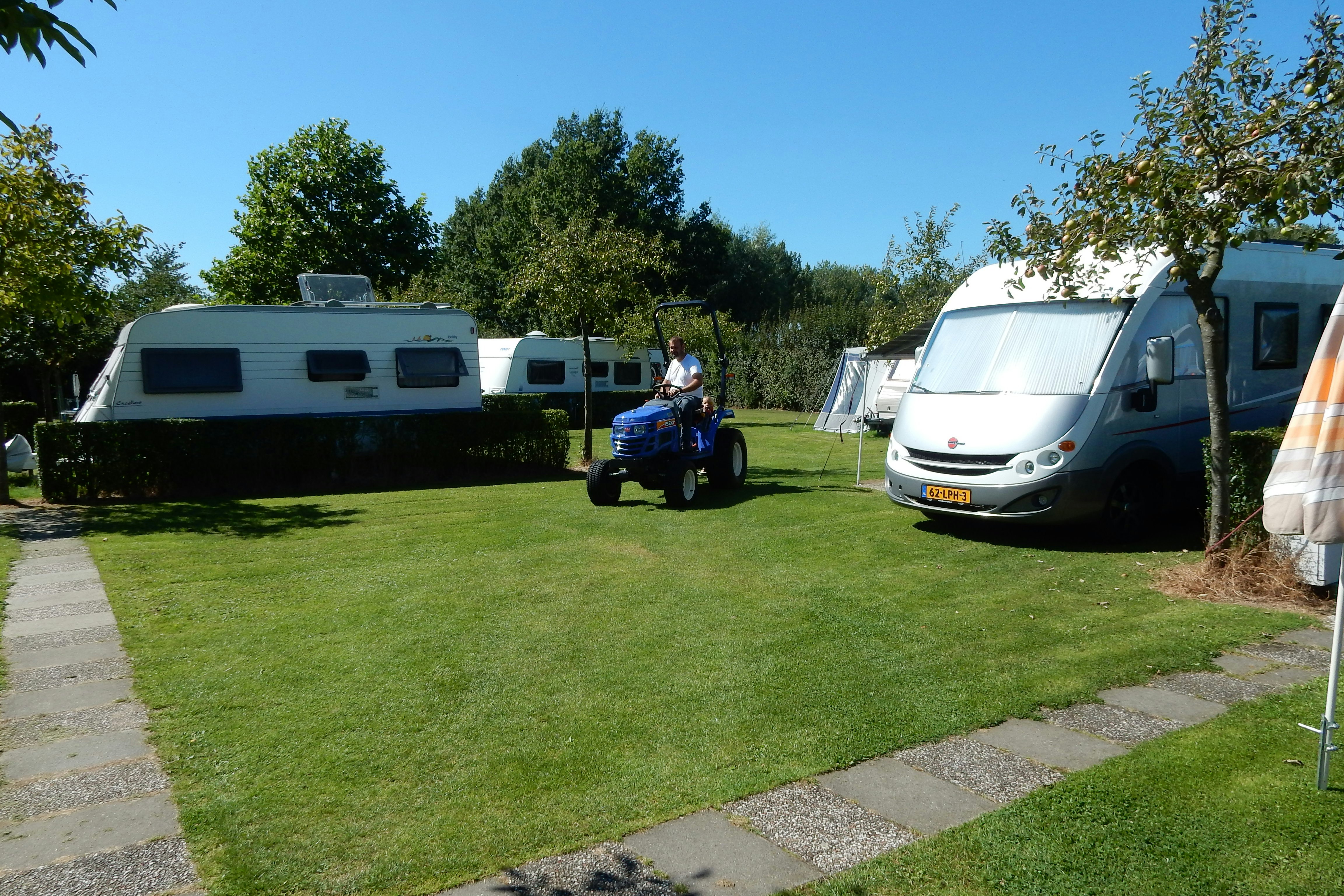 Wohnwagen und Campingbusse auf einem grünen Stellplatz, mit Grasfläche, Kiesweg und Bäumen am Rand.