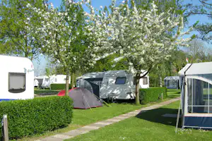 Camping Ter Leede - Wohnmobil- und Wohnwagenstellplätze im Grünen
