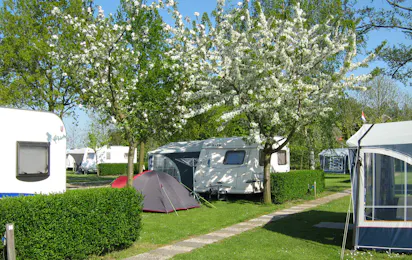 Camping Ter Leede