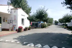 Campingplatz-Gasse mit Wohnwagen, Bäumen und einem Gebäude mit Infotafeln an der linken Seite.