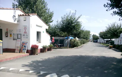 Camping Ter