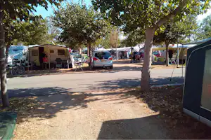 Wohnwagen und Zelte auf einem Campingplatz, mit Autos, Fahrrädern und Stühlen unter Bäumen am Weg.