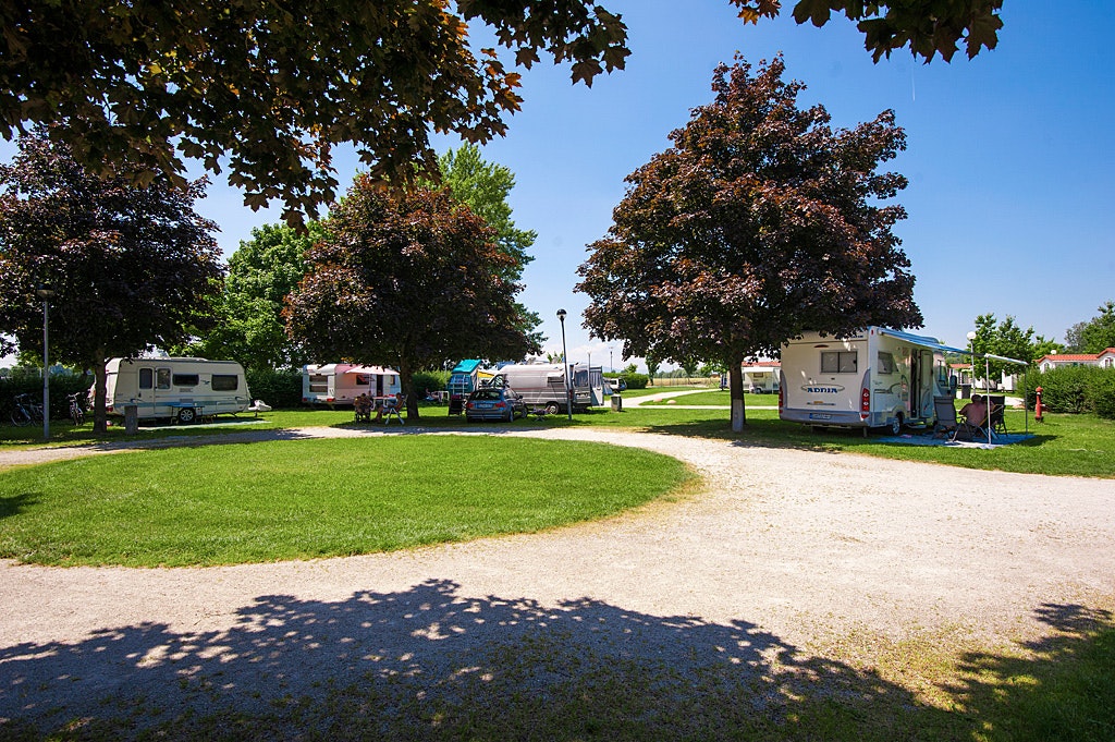 Camping Terme Ptuj - Standplätze auf dem Campingplatz