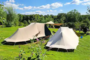 Zwei Campingzelte auf grünem Gras, im Vordergrund Blumen und Sträucher, im Hintergrund weitere Zelte und Bäume.
