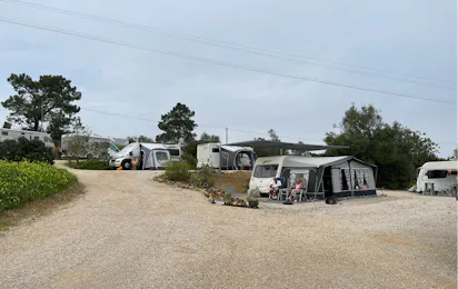 Camping The Lemon Tree Villa