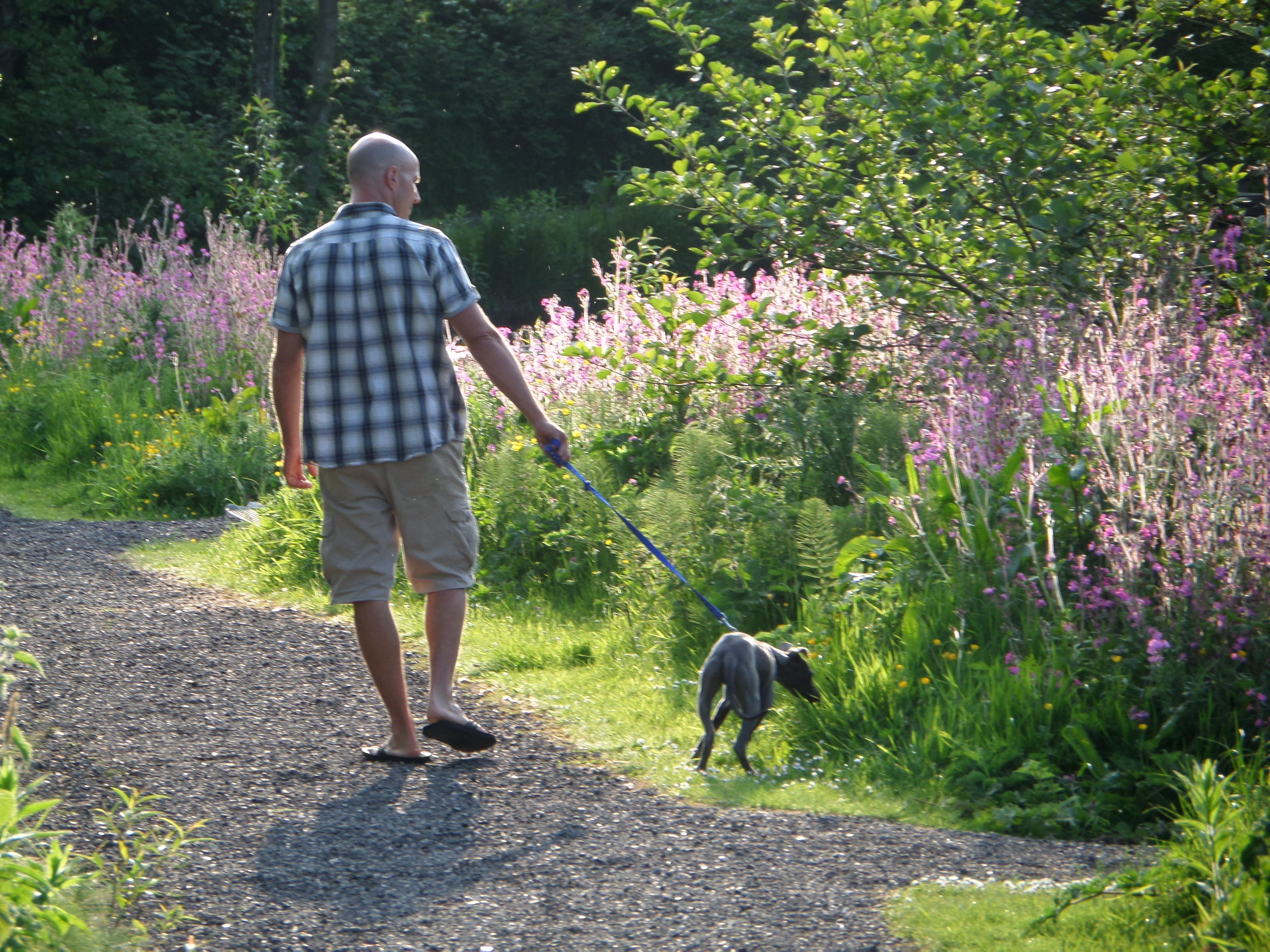Camping The Old Oaks