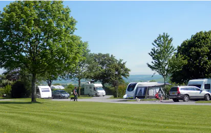 Camping The Old Oaks