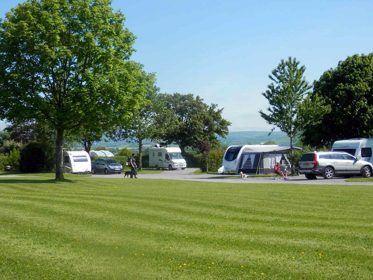 Camping The Old Oaks