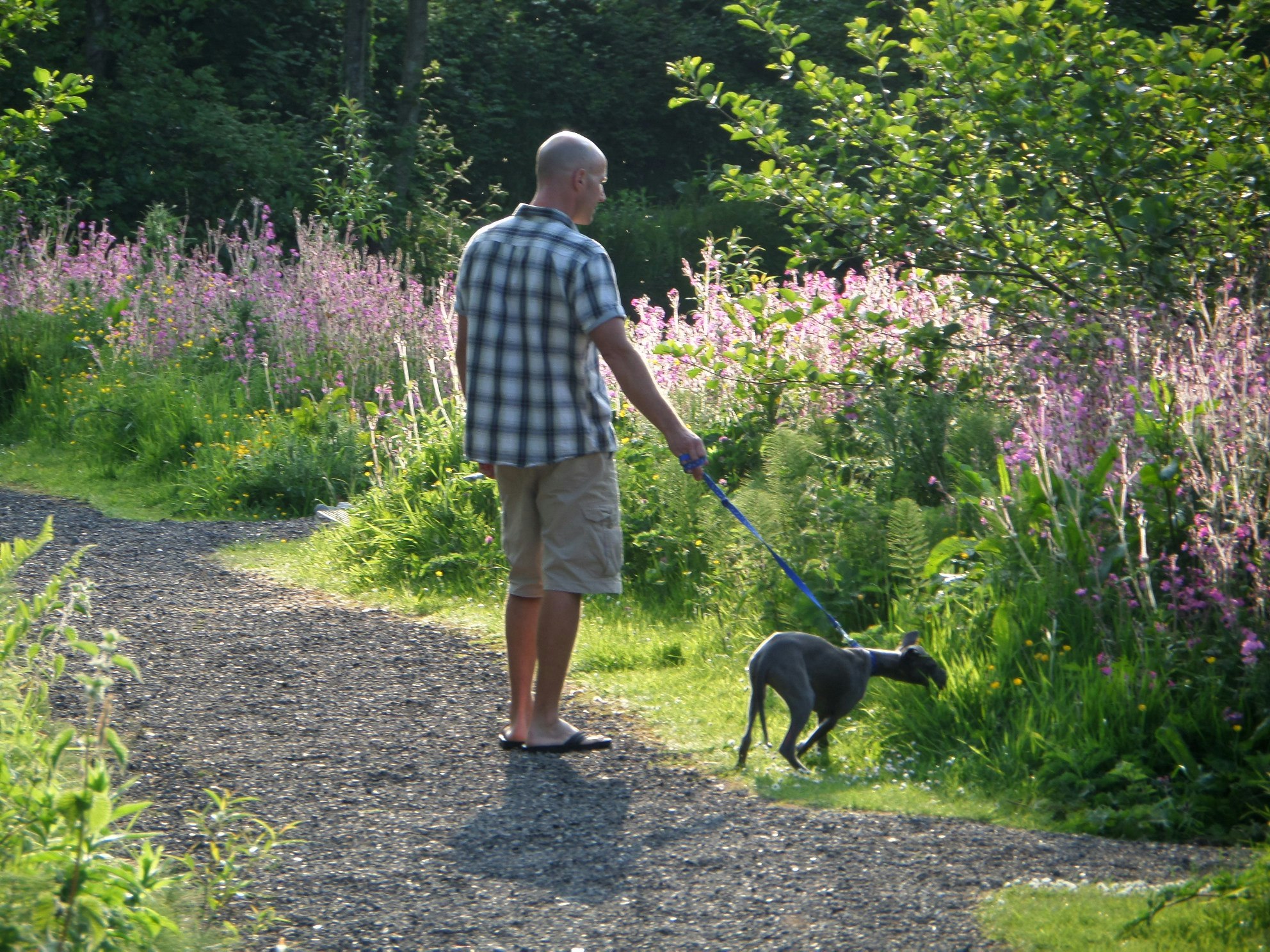 Camping The Old Oaks