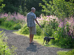 Camping The Old Oaks