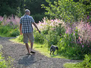 Mann mit Hund geht auf einem Kiesweg durch einen Garten mit blühenden Sträuchern und Bäumen.