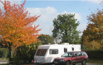 Camping The Old Oaks