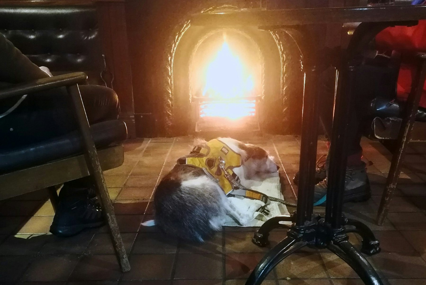 Camping The Shepherd's Rest Pub  The Shepherds Rest Pub & Campsite - Hundefreundlicher Campingplatz