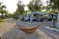 Camping Thines - Wohnwagen- und Zeltstellplatz zwischen Palmen mit einer Hängematte im Vordergrund