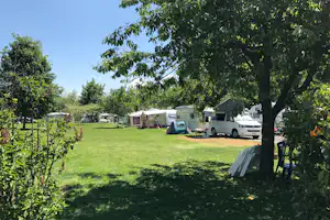 Campingplatz mit Wohnmobilen und Zelten auf einer grünen Wiese, umgeben von Bäumen und einem weißen Fahrzeug.