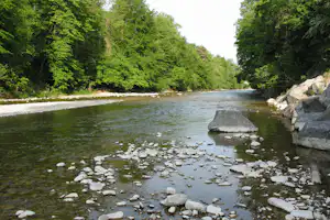 Fluss mit grünem Ufer, Kies und großen Felsbrocken, dahinter dichter Wald und ein schmaler Stromabschnitt.