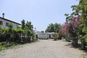 Campinghof mit Kiesfläche, Terrasse am Gebäude und gepflegten Pflanzen, Bäumen und blühenden Sträuchern am Rand.