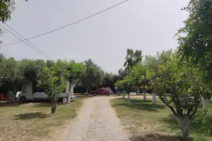 Schotterweg durch den Campingplatz, umgeben von Bäumen und Rasenflächen, mit Wohnwagen und Auto am Rand.
