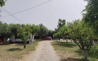 Camping Tholó Beach