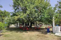 Camping Tholó Beach - Tische und Stühle im Schatten der Bäume