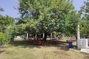 Sitzgruppen unter großen Bäumen auf dem Campingplatz, mit roten Stühlen, weißen Säulen und gepflegtem Rasen.